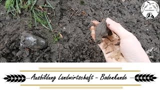 Ausbildung Landwirtschaft  Bodenkunde [upl. by Orel]