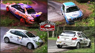 Rallye des Bornes 2024 MISTAKES [upl. by Valorie]