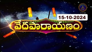 వేదపారాయణం  Vedaparayanam  Tirumala  15102024  SVBC TTD [upl. by Quiteria36]