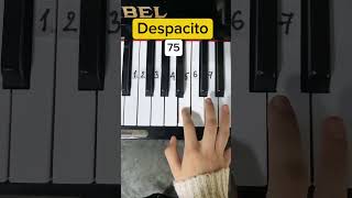 Despacito  Piano Tutorial  Su Piano🎹 piano trending pianotutorial despacito xuhuong [upl. by Whitebook]