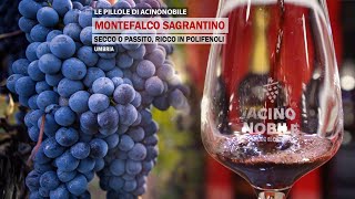 Montefalco Sagrantino  Il vino fruttato Secco o Passito  Umbria [upl. by Infield500]