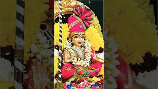 ✨💐🌷🌺🌼Swamye Saranam Iyyappa 🌼🌺🌷✨iyyappanstatusvideos iyyappanthangal iyyappansongsiyyappansongs [upl. by Guevara]