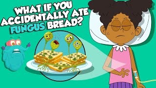 What If You Ate Moldy Bread By ACCIDENT  Types Of Fungi  The Dr Binocs Show  Peekaboo Kidz [upl. by Nillek]