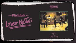 Explore Buzzcocks’ Singles Going Steady in 5 Minutes  Liner Notes [upl. by Jorgenson]