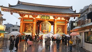 4K・ 【4K】Night walk at rainy Tokyo Asakusa [upl. by Noli]