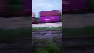 WDG4G  डीजल इंजन  dedicated freight Corridor  Goods Train DFC corridor  IndianRailway [upl. by Idnaj]