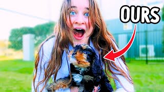 SURPRISING HER WITH THE BEST PUPPY BREED FOR KIDS emotional wNorris Nuts [upl. by Erma]