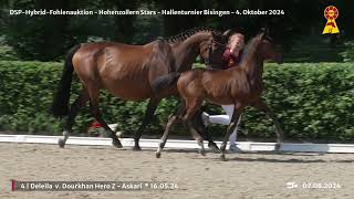 Lot 4 v Dourkhan Hero Z  Askari [upl. by Kampmann920]