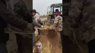 agriculture farmingfarmer satisfying roadworkmachine roadconstructionmartialarts excavation [upl. by Berkin]