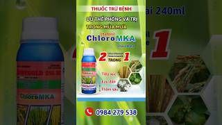 Thuốc trừ nấm bệnh Chloro MKA giá rẻ hiệu quả cao [upl. by Haimorej]