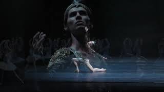 La Bayadère trailer [upl. by Ulick]