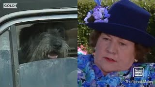 Keeping Up Appearances Onslow’s Dog Compilation [upl. by Brandyn192]