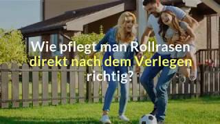 Wie pflegt man Rollrasen direkt nach dem Verlegen richtig [upl. by Nodarb551]