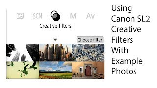 Canon EOS Rebel SL2  200D  Using the Creative Filters with example photos [upl. by Aleb490]