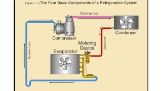 Online HVAC Training  Commercial Refrigeration [upl. by Dosi428]