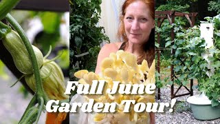 Vertical Aeroponic Tower Garden Tour June  Edible landscape  Mushroom Grow tent Tower gardens [upl. by Grover]