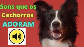 🔴Som que os Cachorros mais Gostam de Ouvir Barulhos que eles Adoram Som de Cachorro Faça o Teste🎵 [upl. by Troth]