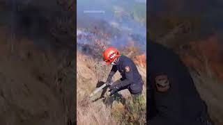 Voluntarios y bomberos luchan contra incendios en Incahuasi Perú [upl. by Ginevra468]