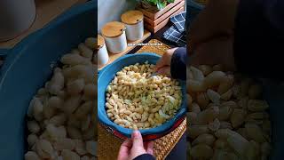 Kacang goreng bawang putih rangup dan sedap [upl. by Clova]