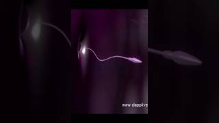 Sperm entering in to the ovum education [upl. by Taima]