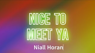 Niall Horan  Nice To Meet Ya Lyrics [upl. by Bruni]