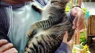 ANIMAL LOVER  ATE CHARING REYNA NG SOUTH KOREA  MADERMARING VLOG [upl. by Kessiah952]