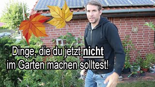 Diese GARTENARBEITEN solltet Ihr im Herbst AUF KEINEN FALL erledigen [upl. by Dyob]