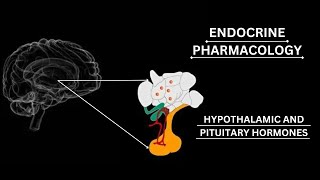 ENDOCRINE PHARMACOLOGY Adrenocorticotropic Hormone ACTH pharmacology katzung lippincott [upl. by English599]