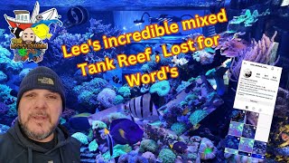 Unveiling Lees 7ft Mixed Reef Tank Prepare to Be Amazed [upl. by Aniehs852]