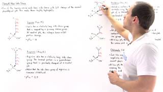 Basic and Acidic Amino Acids [upl. by Bej]