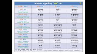 Samskritam  Noun Declensions amp Verb Conjugations  httpstinyurlcomy5gzegzd [upl. by Peedsaj947]