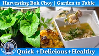 Easy Bok Choy Soup Recipe  Healthy Delicious and Quick [upl. by Ojillib]