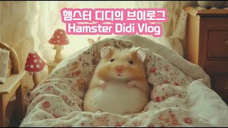 햄스터 디디의 브이로그 🐹 Hamster Didi Vlog [upl. by Romano]