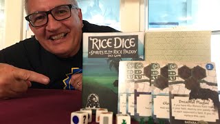 Rice Dice Review [upl. by Anuaik]