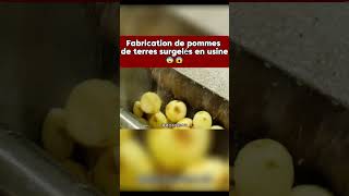 Comment sont fabriquées les pommes de terre surgelées 🥔❄️ food streetfood pommedeterre usine [upl. by Wales]