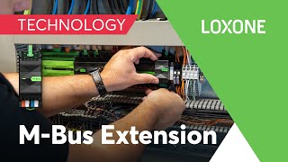 Neu MBus Extension I 2023 I 4K [upl. by Duester]