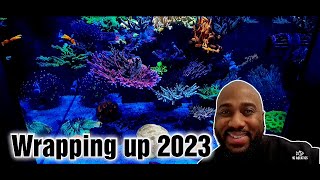 Reef tank update hcaquaticsreefing [upl. by Aerdnua]