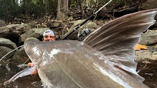 PEGAMOS O MAIOR PEIXE DE COURO DAS AMÉRICAS [upl. by Atiker800]