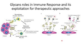 Cancer Glycans role in Immunosuppression and Therapeutic Approaches Code 467 [upl. by Osgood]