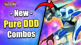 THIS CHANGES EVERYTHING  NEW PURE DDD COMBOS  POST PREMIUM PACK 2025  YuGiOh [upl. by Vasiliki343]