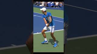 Novak Djokovic Backhand Slow Motion [upl. by Pinebrook]