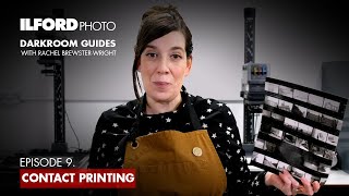 Contact Printing  ILFORD Photo Darkroom Guides [upl. by Venita61]