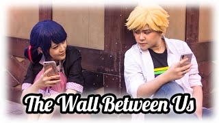 Miraculous Ladybug  CMV  The Wall Between Us main cmv link below​ [upl. by Spector111]