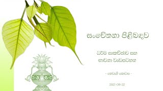 සංචේතනා  3 [upl. by Spanos]