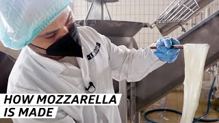 How One of the Worlds Biggest Mozzarella Distributers Makes its Cheese — Vendors [upl. by Anaimad]