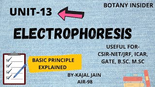 Unit13 Electrophoresis  Basic principle Types  Agarose Gel  CSIRNET JRF II [upl. by Annaek238]