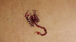 TEMPORARY tattoos amazing 4K [upl. by Limaj]