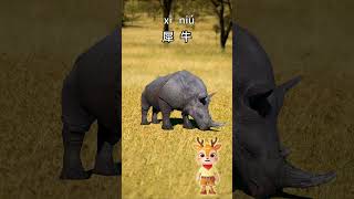 Learn Wild Animals in Chinese：Lets guess what this is｜儿童故事｜中文学习｜中文故事｜ [upl. by Burk]