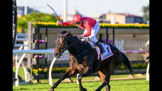 Eagle Farm Racing Vlog G1 Queensland Oaks Day [upl. by Ayot564]