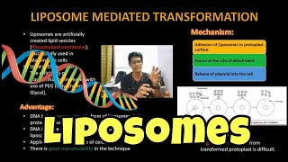 Liposome Mediated Transformation  Genetic Engineering  English  Gene Transfer  ThiNK VISION [upl. by Ryon]